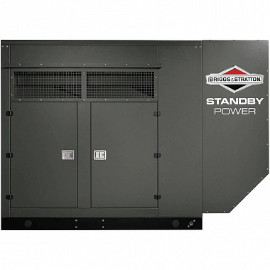 Генератор газовый Briggs & Stratton G1000 (100 кВт)

